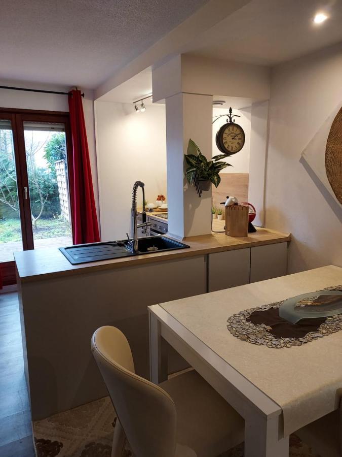 Residence Du Vieux Chateau Jardin & Parking Gratuit Mulhouse Exterior photo