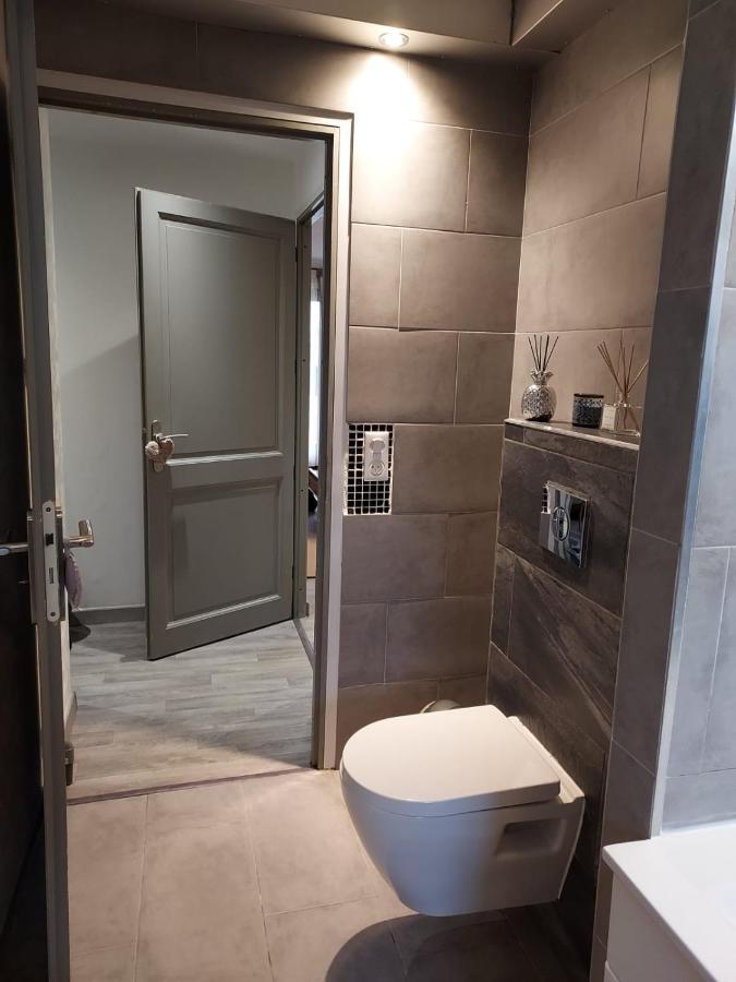 Residence Du Vieux Chateau Jardin & Parking Gratuit Mulhouse Exterior photo