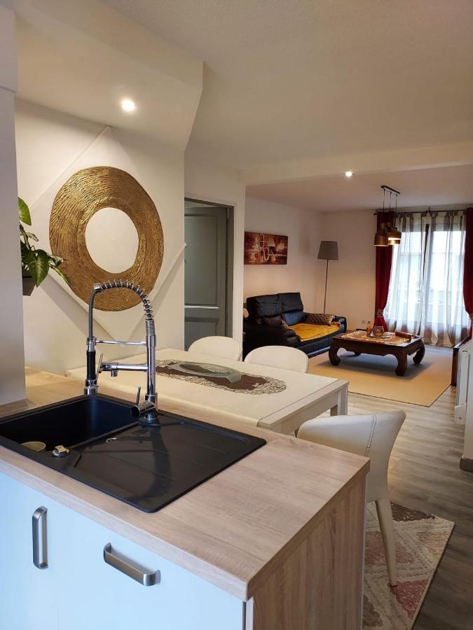 Residence Du Vieux Chateau Jardin & Parking Gratuit Mulhouse Exterior photo