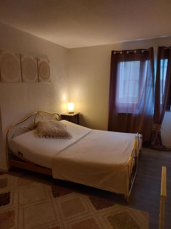 Residence Du Vieux Chateau Jardin & Parking Gratuit Mulhouse Exterior photo